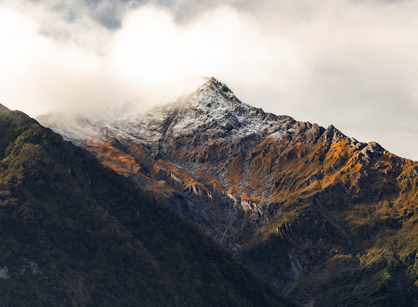 Photo of NZ- for Bob-26.jpg